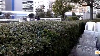 日韩欧美一区二区在线观看_欧美亚洲精品成人视频